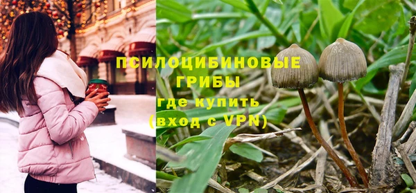 амф Арсеньев