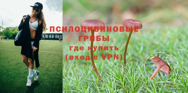 тгк Армянск