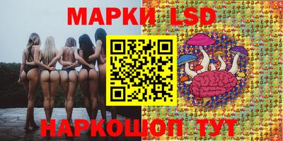 ПСИЛОЦИБИНОВЫЕ ГРИБЫ Кандалакша