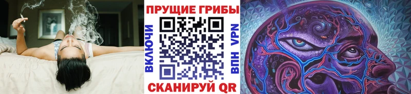 наркотики  Минусинск  Галлюциногенные грибы MAGIC MUSHROOMS 