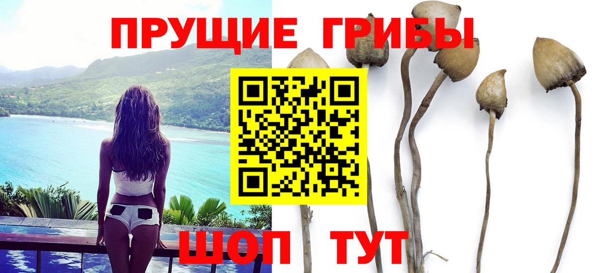 Галлюциногенные грибы мицелий Минусинск