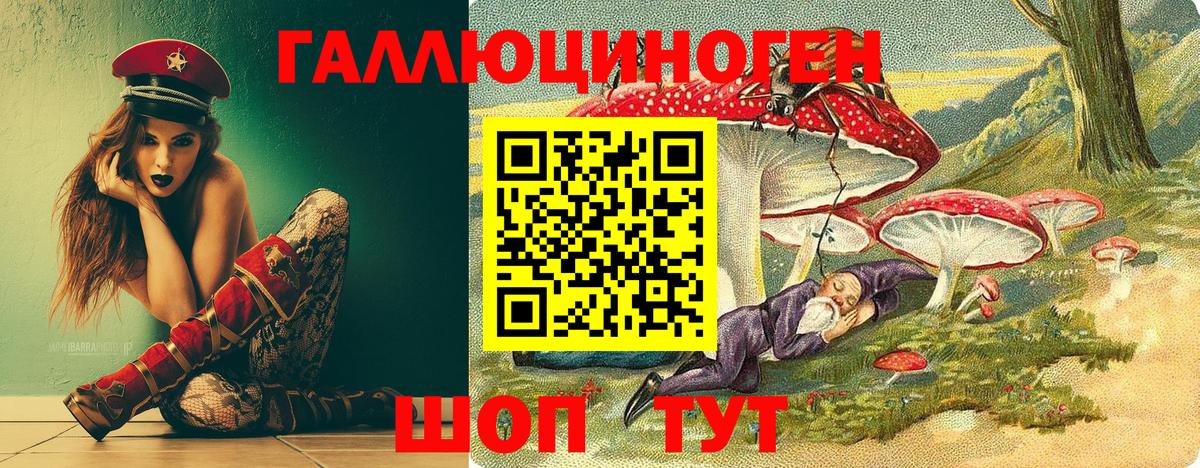 Галлюциногенные грибы GOLDEN TEACHER  Галлюциногенные грибы MAGIC MUSHROOMS  Вход с VPN  как найти закладки  Минусинск 